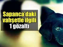 Sakarya Sapanca ayakları kuyruğu kesilen yavru köpek vahşeti: 1 gözaltı