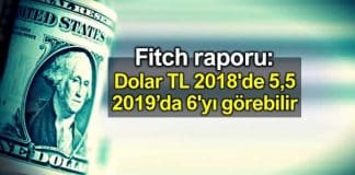 Fitch raporu: Dolar TL 2018 5,5; 2019 6 lira görebilir