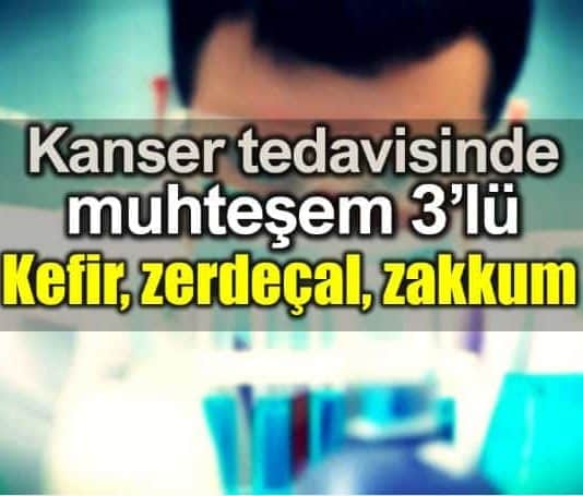 Kanser tedavisinde kefir zerdeçal zakkum ve probiyotik etkisi