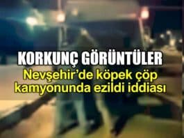Nevşehir Acıgöl köpek çöp kamyonunda ezildi iddiası