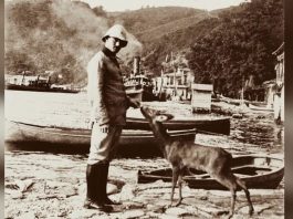 resneli niyazi 1908 devrimi rehber geyik