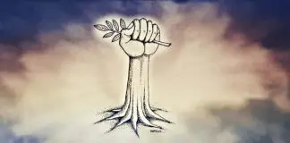 Seçimi değil bireyi anlamak Seçimi değil bireyi anlamak