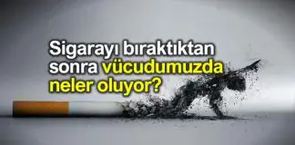 Sigarayı bıraktıktan sonra vücudumuzda ne oluyor? Sigarayı bıraktıktan sonra ne oluyor? Sigara bağımlılığı nasıl başlar?