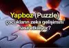 Yapboz oyunlarının çocukların zeka gelişimi üzerindeki etkileri neler? Yapboz oyunlarının çocukların zeka gelişimi üzerindeki etkileri neler?