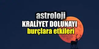 Astroloji: 26 Ağustos balık burcunda kraliyet dolunayı burç yorumları Astroloji: 26 Ağustos balık burcunda kraliyet dolunayı burç yorumları