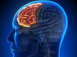 Sıcak havalar epilepsiyi tetikliyor; özellikle alkol tüketimine dikkat!