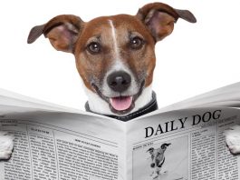 Türkiye ye geldim, gazete okudum, gerçekleri gördüm