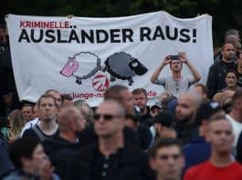 almanya eyalet seçimleri ırkçılık afd