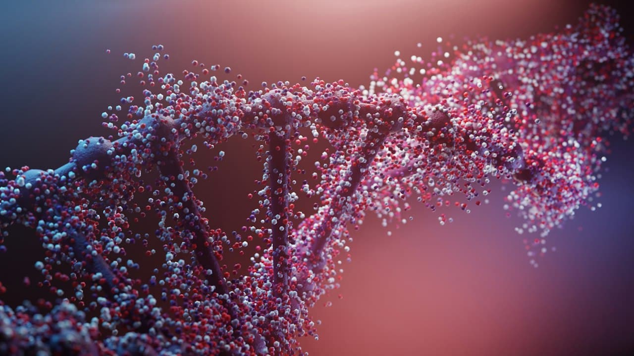 Kırmızı ve beyaz parçacıklardan DNA sarmalı
