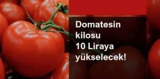 Domatesin kilosu 10 TL’ye yükselecek! domatesin kilosu 10 tl