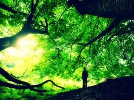 Durabilmek meselesi yoko ono