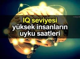 IQ seviyesi yüksek insanların uyku saatleri