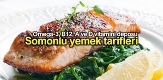 Omega-3 ve B12 deposu somon balığı yemek tarifleri