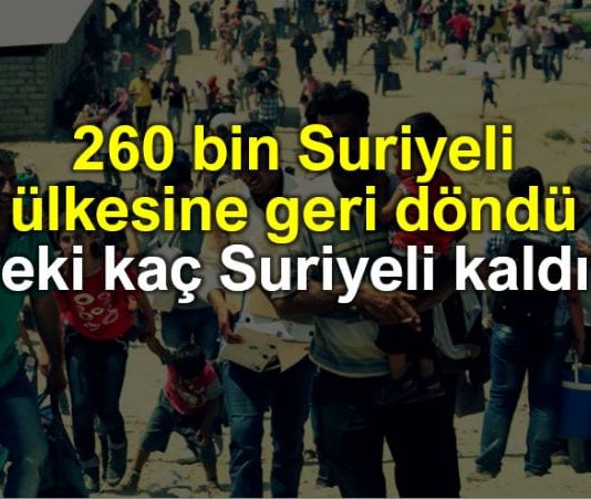 260 bin Suriyeli ülkesine geri döndü: Peki kaç Suriyeli kaldı?