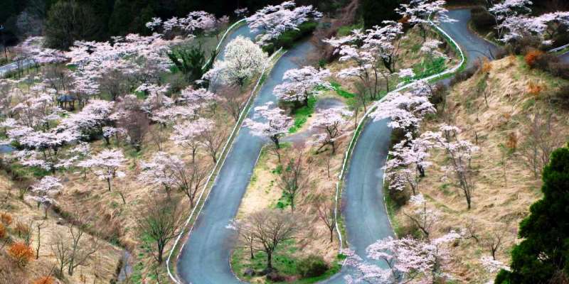 Touge Yolları, Japonya