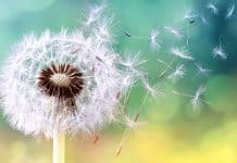 Alerjik hastalıklardan korunmak için bilinmesi gereken 9 öneri alerjik hastalıklar