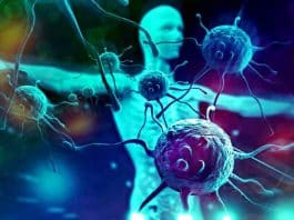 Bağışıklık sistemini en çok güçlendiren besinler listesi