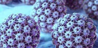 HPV virüsü nedir? Cinsel bölgede siğil çıktıysa dikkat!