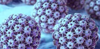 HPV virüsü nedir? Cinsel bölgede siğil çıktıysa dikkat! HPV virüsü nedir? Cinsel bölgede siğil çıktıysa dikkat!