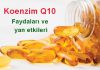 koenzim q10