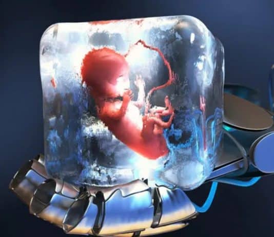 Kriyobiyoloji nedir? Tüp bebek tedavisinde umut veren yöntem!