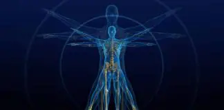 Mikrobiyom: Vücudumuzdaki yeni organ Mikrobiyom: Vücudumuzdaki yeni organ