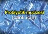 Probiyotik nedir? Hastalıkların tedavisinde bir mucize! Probiyotik nedir? Hastalıkların tedavisinde bir mucize!