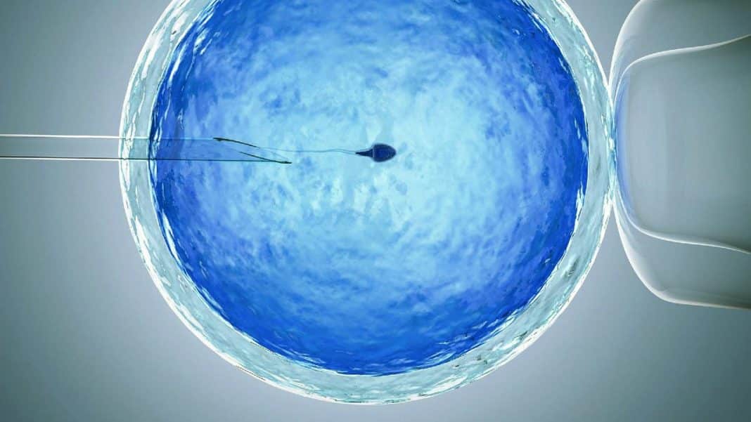 Tüp bebek tedavisi ile ilgili doğru bilinen yanlışlar neler?