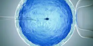 Tüp bebek tedavisi ile ilgili doğru bilinen yanlışlar neler? tüp bebek tedavisi