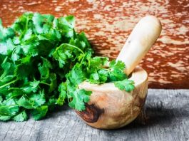 Ağız kokusunu gidermek için 10 doğal besin