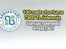 Arnavutköy Belediyesi bir metre hortum için 78 TL ödemiş sayıştay raporu