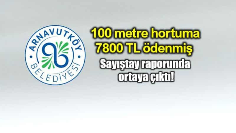 Arnavutköy Belediyesi bir metre hortum için 78 TL ödemiş sayıştay raporu