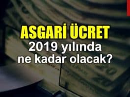 Asgari ücret Ocak 2019 ne kadar olacak?