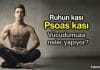 Psoas kası nedir? Psoası geliştirmenin faydaları neler? egzersizleri