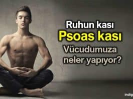 Psoas kası nedir? Psoası geliştirmenin faydaları neler? egzersizleri