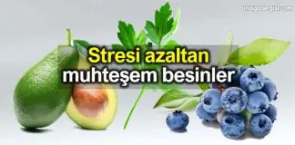 Stresi azaltan yiyecekler listesi Stres azaltan besinler listesi