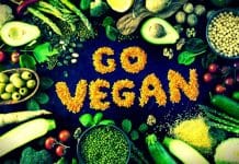 Vegan beslenme önerileri: Alternatif protein kaynakları