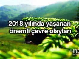 2018 yılında yaşanan önemli çevre olayları