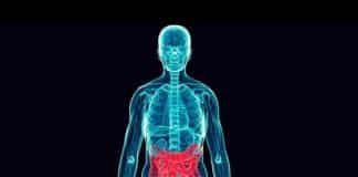 Crohn ve kolit vücuttaki her organı etkiliyor!