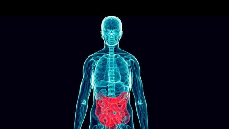 Crohn ve kolit vücuttaki her organı etkiliyor!