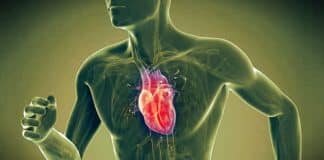 Kalp sağlığı hakkında pek bilinmeyen 7 ilginç gerçek