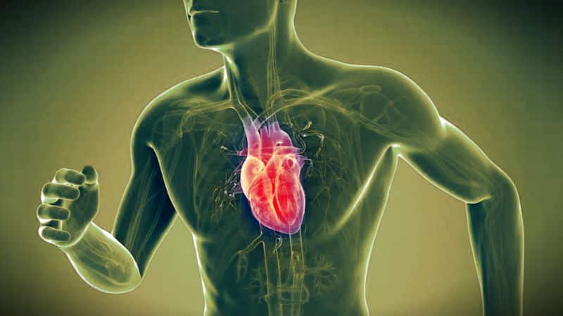 Pilates ve Kalp Sağlığı