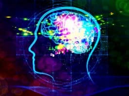 Nöronlar: Beyindeki sinir hücrelerini aktifleştirmek