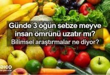 Günde 3 öğün sebze meyve ömrü uzatır mı? Günde 3 öğün sebze meyve ömrü uzatır mı?