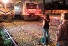 Baykuşlar uyurken Baykuşlar uyurken