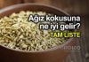 Ağız kokusuna ne iyi gelir? Hangi yiyecekler ağızdaki kokuyu giderir? Ağız kokusuna ne iyi gelir? Hangi yiyecekler ağızdaki kokuyu giderir?