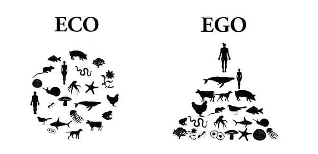 Veganlık nedir eco ego