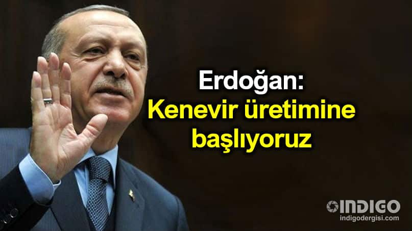 Cumhurbaşkanı Erdoğan: Türkiye kenevir üretimine başlıyor