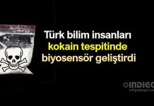 Türk bilim insanları kokain tespiti için biyosensör geliştirdi Türk bilim insanları kokain tespiti için biyosensör geliştirdi
