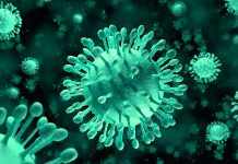 RSV virüsü Ocak ve Şubat aylarında zirve yapıyor! RSV virüsü Ocak ve Şubat aylarında zirve yapıyor!